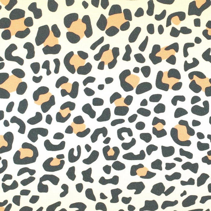 Leopard 5
