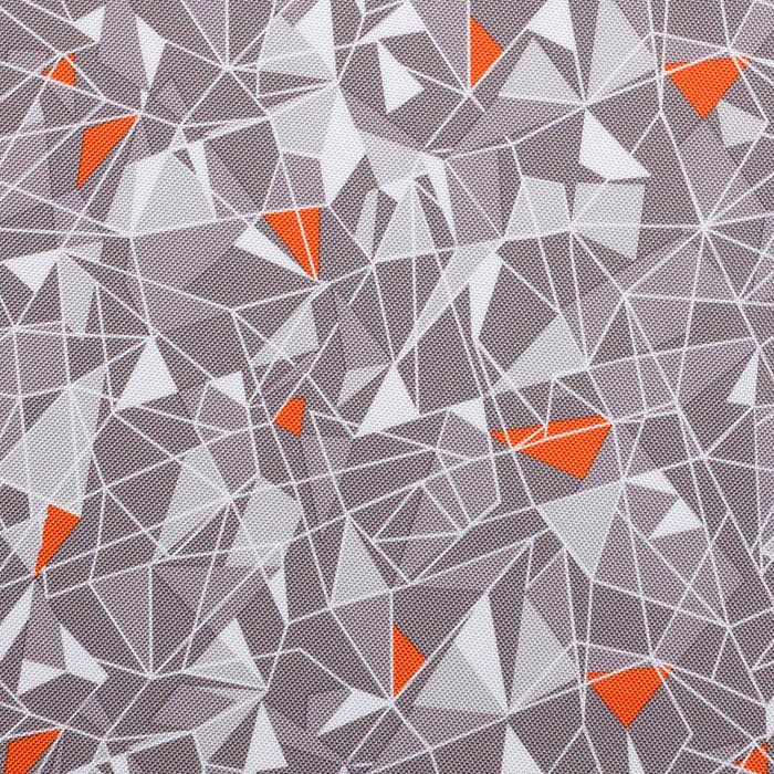 P19_5