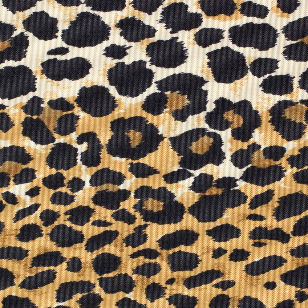 Safari