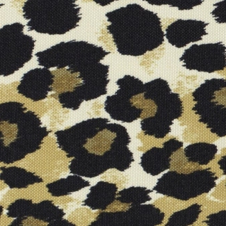Safari